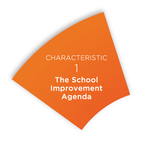The School Improvement Agenda